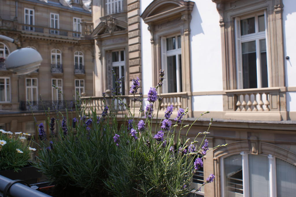 Studio De L'Hotel De Ville Strasbourg Luaran gambar
